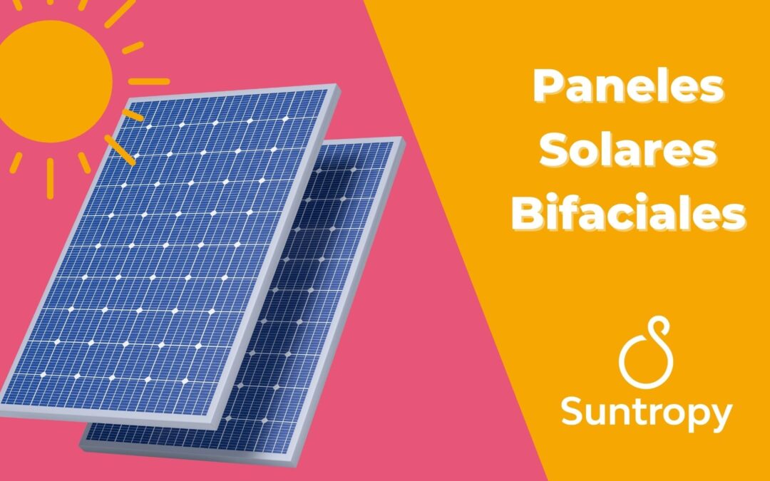 Paneles Solares Bifaciales: ¿El futuro de la industria solar?