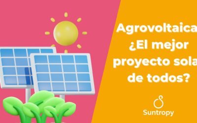 Agrovoltaica: ¿El mejor proyecto solar de todos?