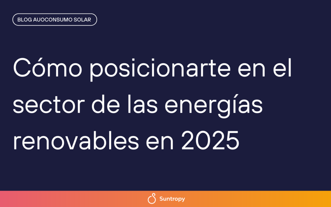 Cómo posicionarte en el sector de las energías renovables en 2025